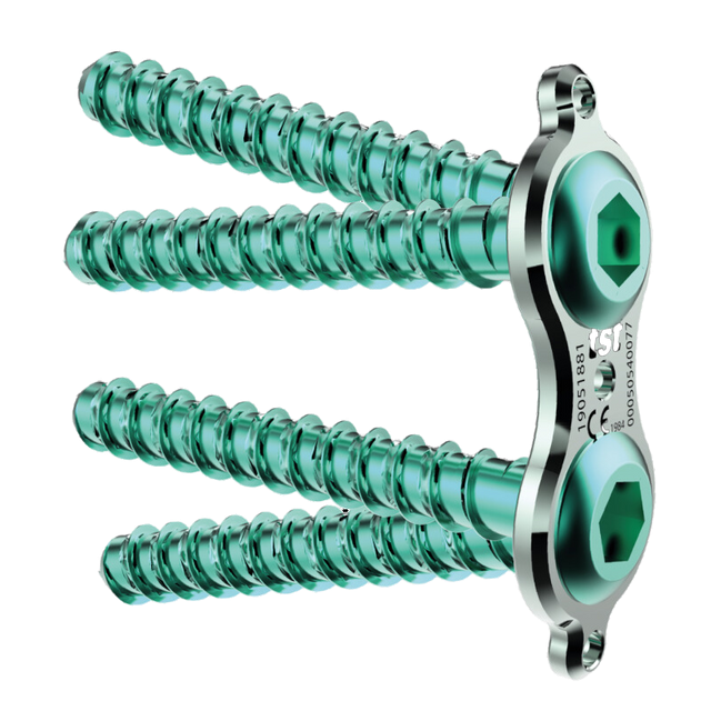 https://profiletechnology.com.my/wp-content/uploads/2025/05/Eight-Growth-Plate.png